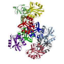 Image of CATH 2yhf