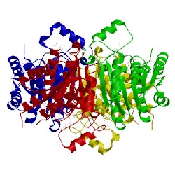 Image of CATH 2yhi