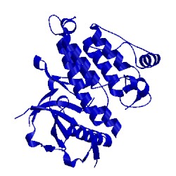 Image of CATH 2yhv