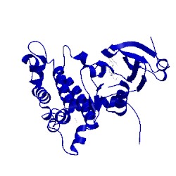Image of CATH 2yir