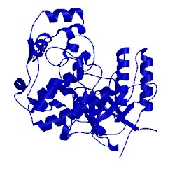 Image of CATH 2yix