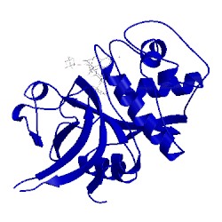 Image of CATH 2yj8