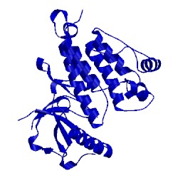 Image of CATH 2yjr