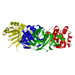Image of CATH 2yjt
