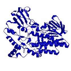 Image of CATH 2ym2