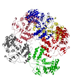 Image of CATH 2ymn