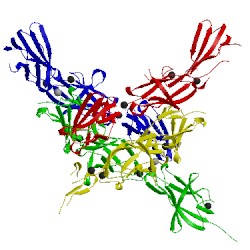 Image of CATH 2yn3