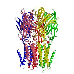 Image of CATH 2yn6