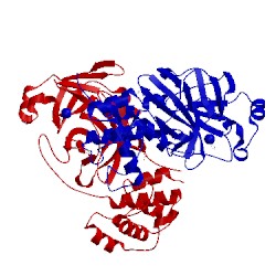 Image of CATH 2yna