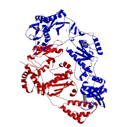 Image of CATH 2ynf
