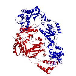 Image of CATH 2yni