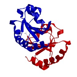 Image of CATH 2ynx