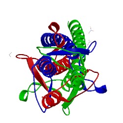 Image of CATH 2ynz