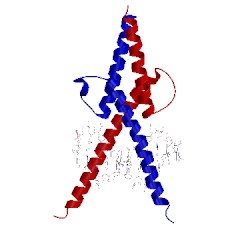 Image of CATH 2ypb