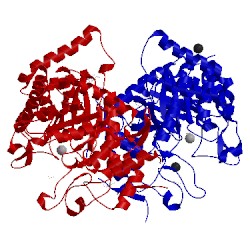 Image of CATH 2ypq