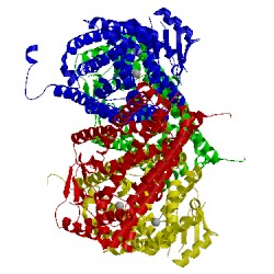 Image of CATH 2ypt