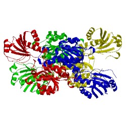 Image of CATH 2yq4