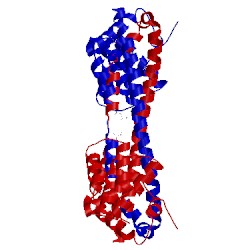 Image of CATH 2yq8