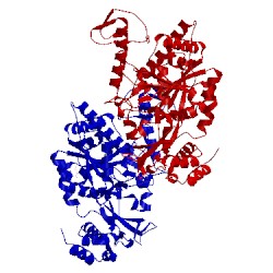 Image of CATH 2yqh