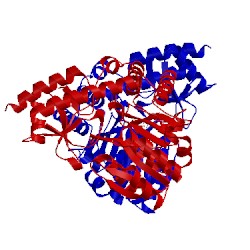 Image of CATH 2yri