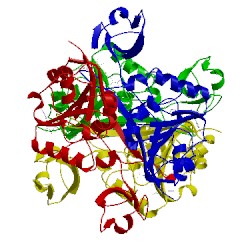 Image of CATH 2yvl