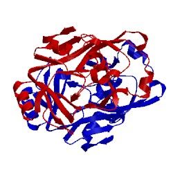 Image of CATH 2yvs