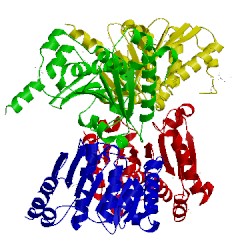 Image of CATH 2ywm