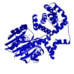 Image of CATH 2yxl