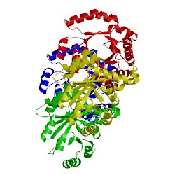 Image of CATH 2yyt