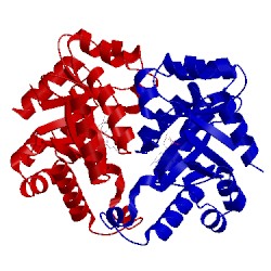 Image of CATH 2yyu