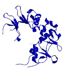 Image of CATH 2yzq