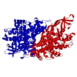 Image of CATH 2z1q