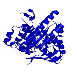 Image of CATH 2z1x