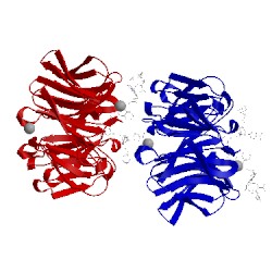 Image of CATH 2z2p