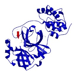 Image of CATH 2z3d