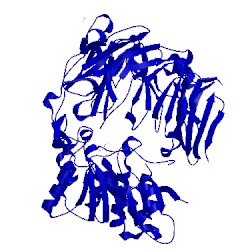 Image of CATH 2z3w