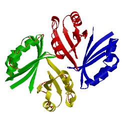 Image of CATH 2z4p