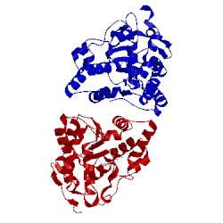 Image of CATH 2z5f