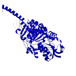 Image of CATH 2z5y