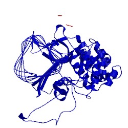 Image of CATH 2z6b