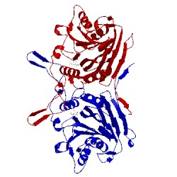 Image of CATH 2z71