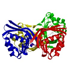 Image of CATH 2z77