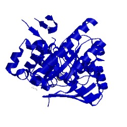 Image of CATH 2z7k