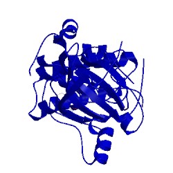 Image of CATH 2z7r