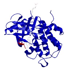 Image of CATH 2z8c