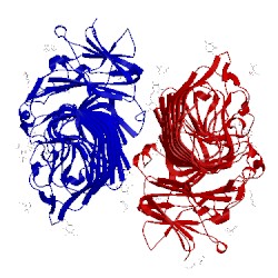 Image of CATH 2z8g