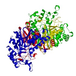 Image of CATH 2z8k