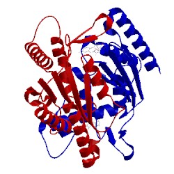 Image of CATH 2z9d