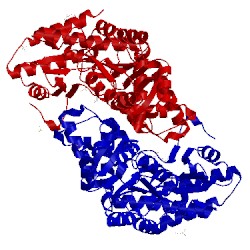 Image of CATH 2z9v