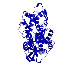 Image of CATH 2zax